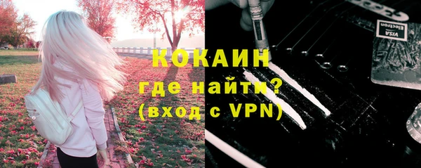 apvp Алексин